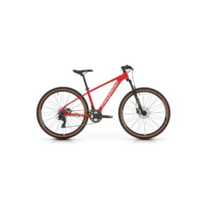 DX3  (25)